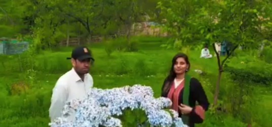 In the pictures of their visit to the picturesque tourist spots, Anju and Nasrullah were seen sitting in a lush green garden and holding hands. 