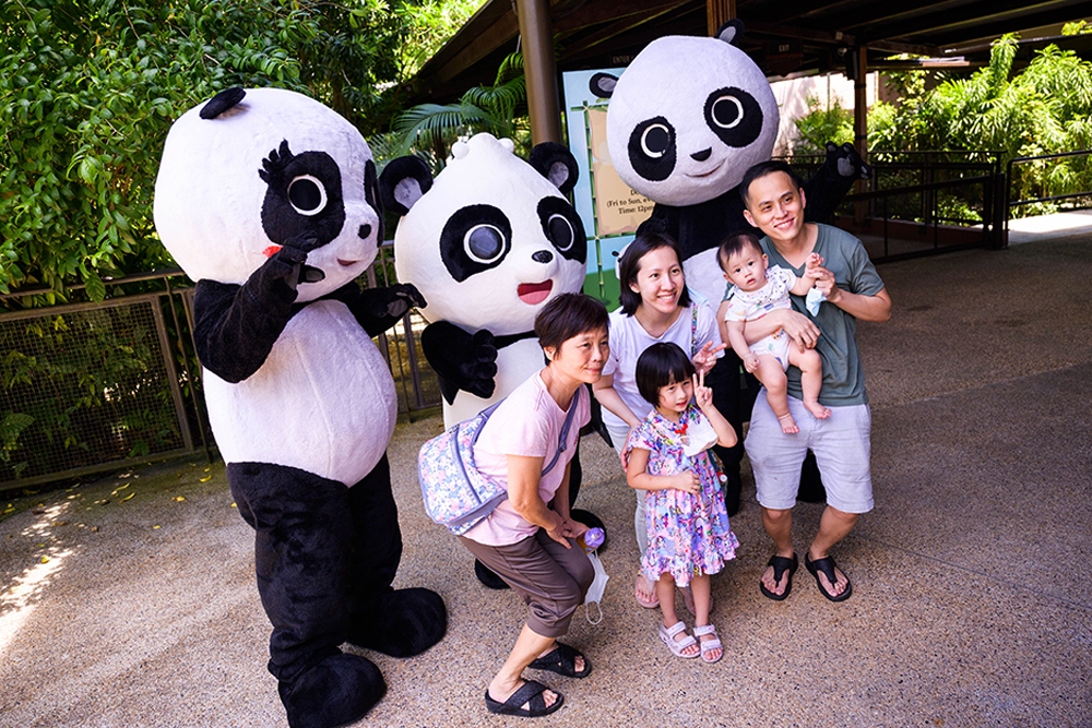 Panda mascot meet and greet.