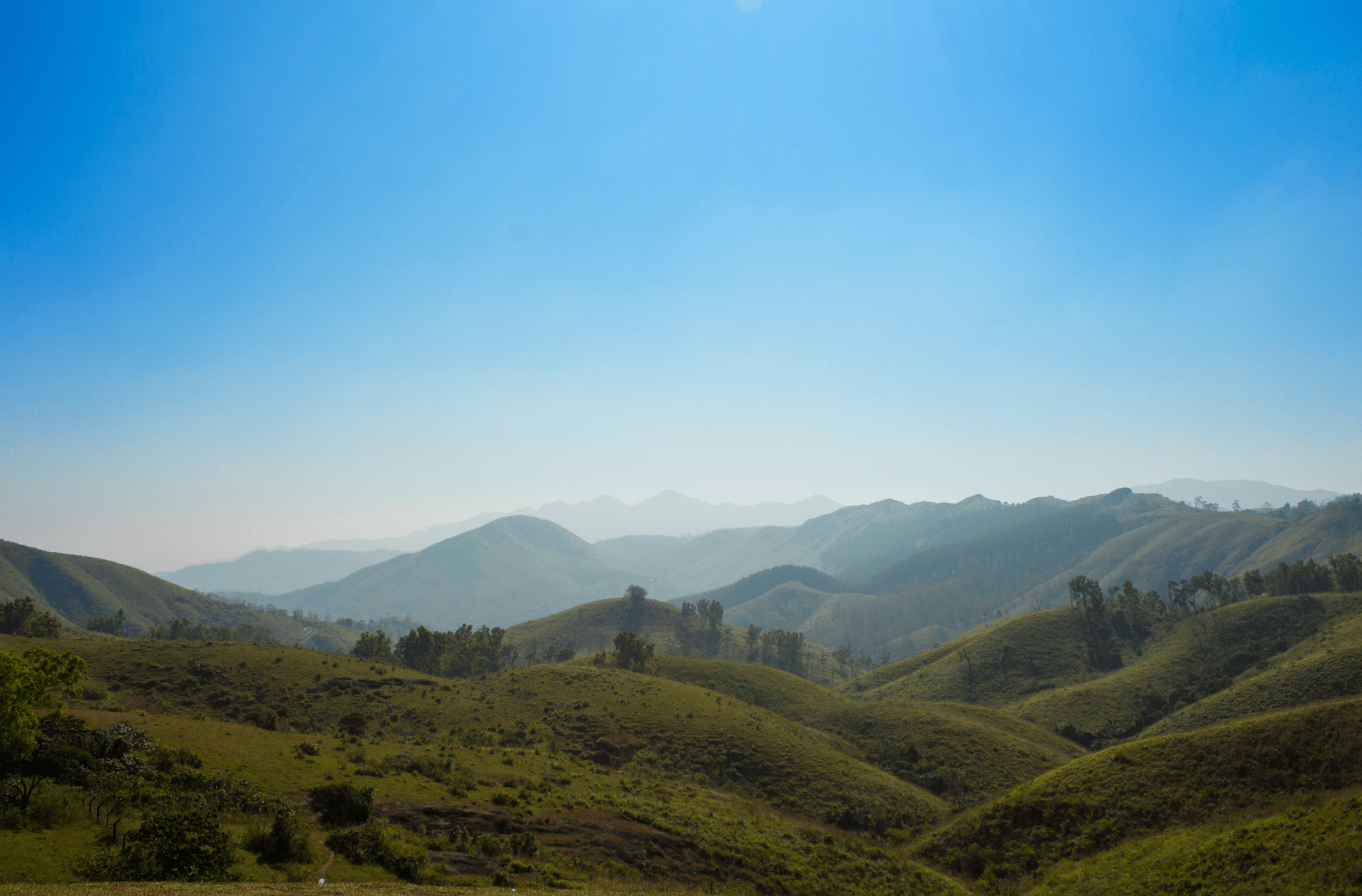 Photo courtesy: Kerala Tourism
