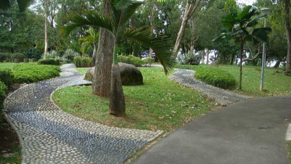 Singapore: No excuses for not working out country