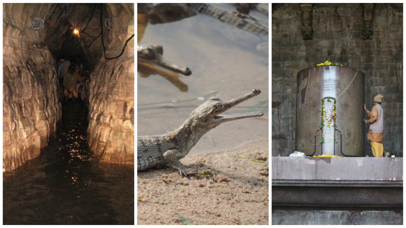 You surely haven’t seen this side of Madhya Pradesh