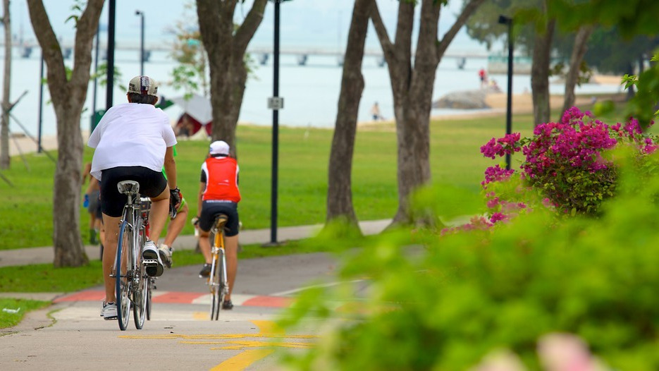 Bye, bye condo, hullo nature!  Eight top parks and gardens you can explore in Singapore