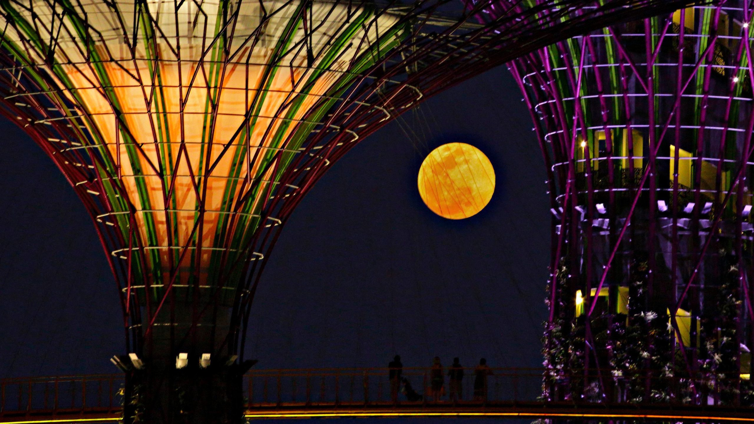 Biggest full moon on Singapore sky on Nov 14
