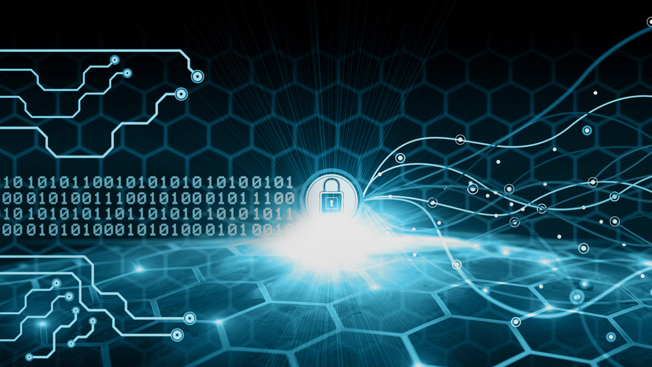 Survey reveals that workers are biggest security risk in companies