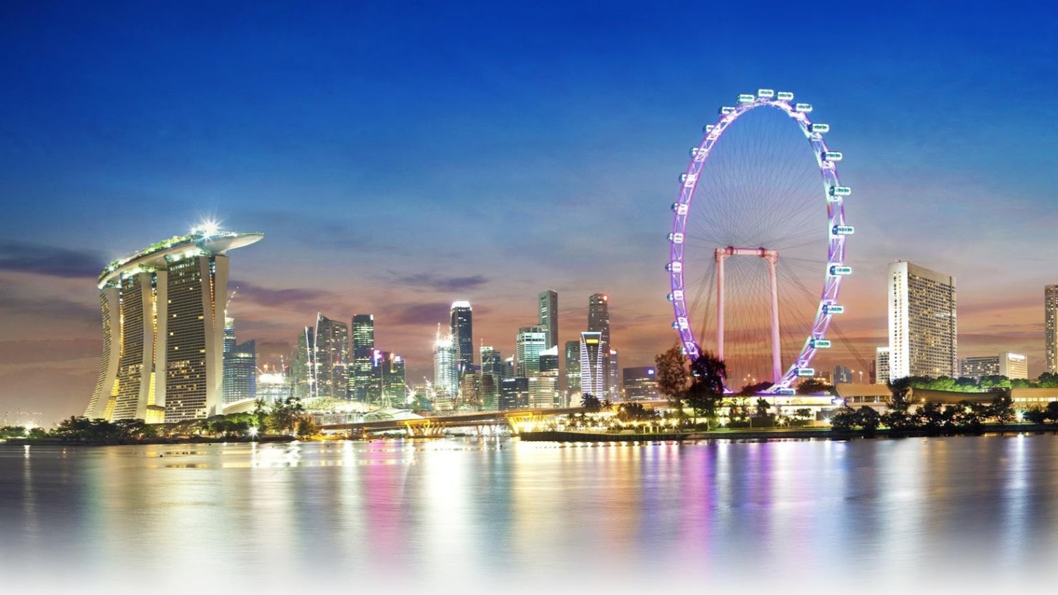 Singapore economy  on modest pace of expansion: Ravi Menon