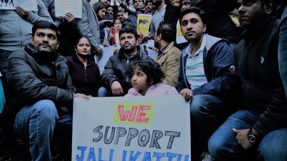 Jallikattu ban: Tamil-Americans hold rally outside Indian Embassy in Washington