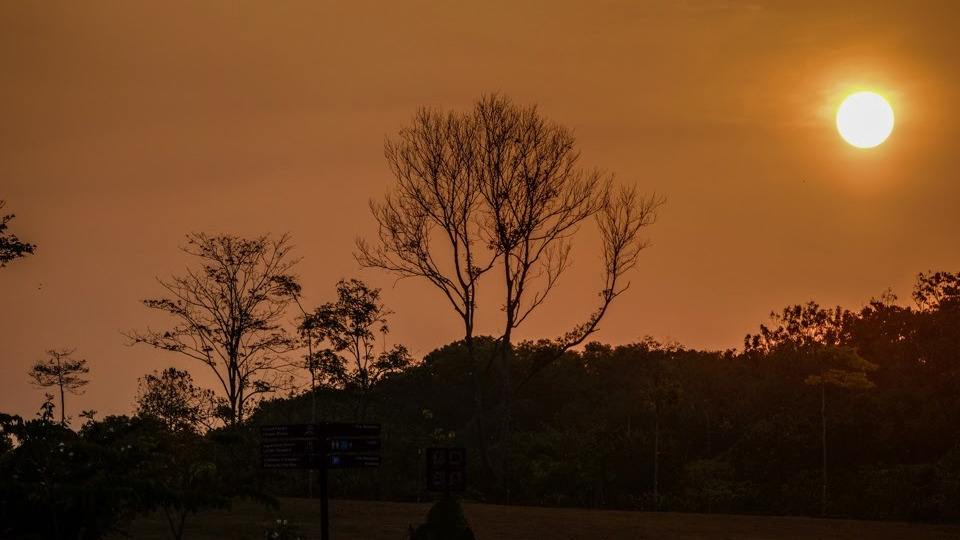 Singapore to be drier, warmer in February