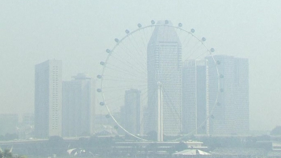 Singaporeans willing to pay to avoid haze