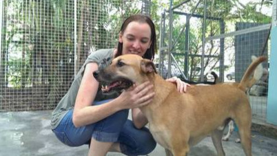 Stray dogs not culled but sterilised and  rehomed in Jurong Island, Singapore