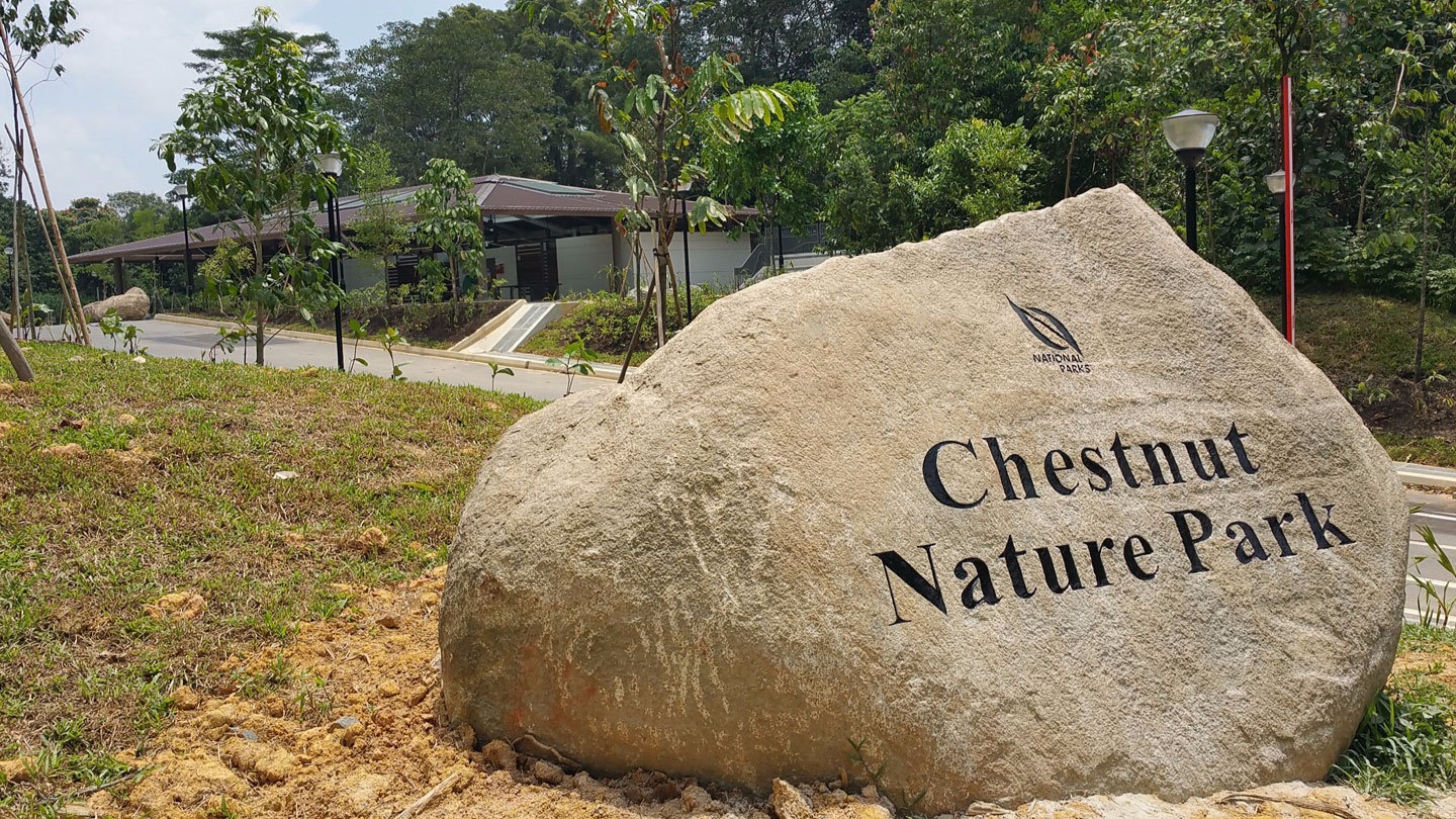 Singapore’s largest Chestnut Nature Park fully opens, separate hiking and biking trails