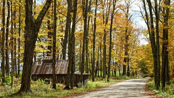Indian-American man found dead in New Jersey