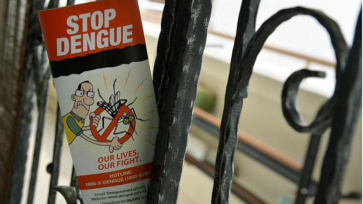 Dengvaxia vaccine to fight against dengue in Singapore