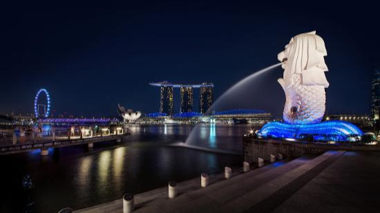 INSEAD: Singapore ranks highest in Asia for adapting to era of digital skills