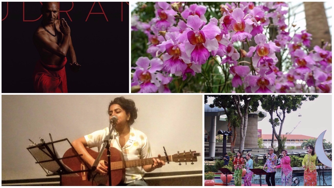 Five things to do over the weekend of July 29-30