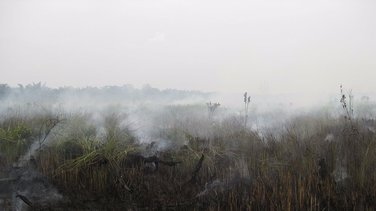 Singapore unlikely to be hit by trans-boundary haze in the next two weeks