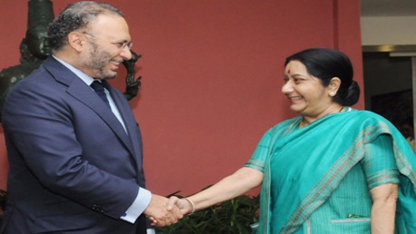 Qatar crisis not to impact Indian interests, expats in Dubai: UAE FM