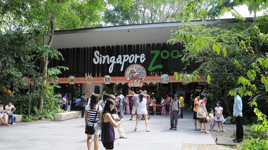 Singapore Zoo comes fourth in world: TripAdvisor Traveller’s Choice awards