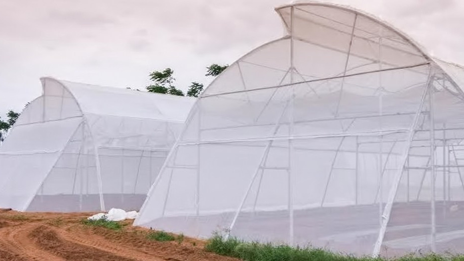 Indian startup developing modular greenhouse wins laurels in Israel