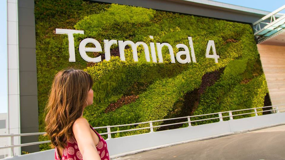 Passengers given rousing welcome at newly opened Terminal 4 of Changi Airport