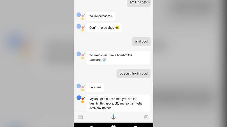 Google Assistant makes debut in Singlish