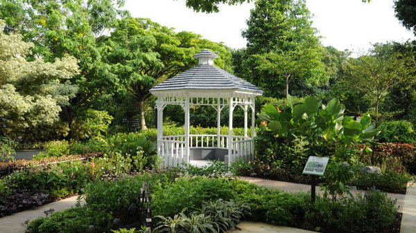 New national gardening masterplan unveiled in Singapore