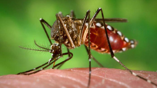 First case of Zika virus infection of 2018 reported in Singapore