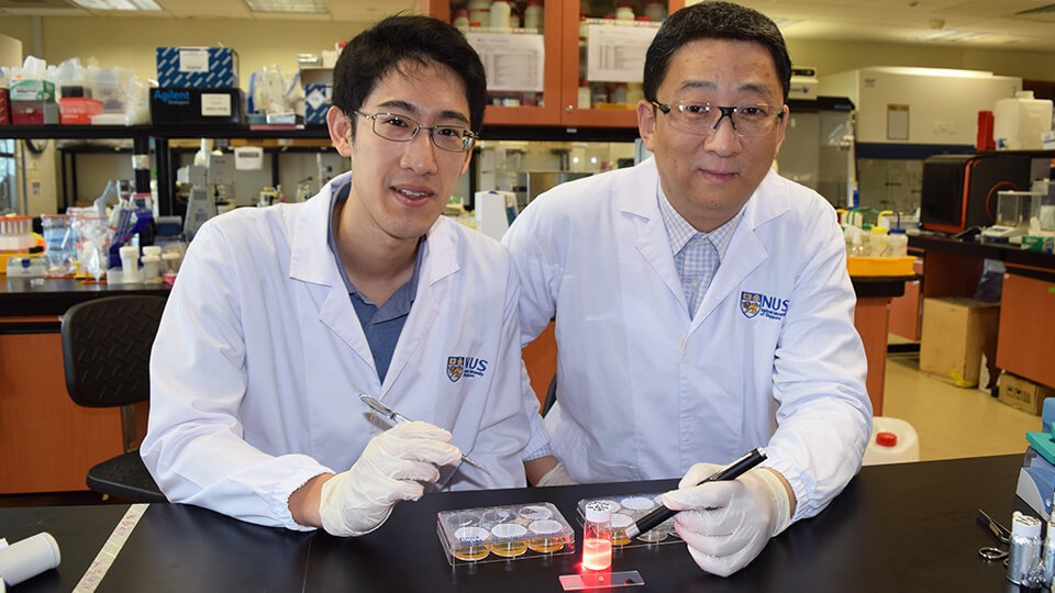 NUS researchers develop wireless light switch for targeted cancer treatment