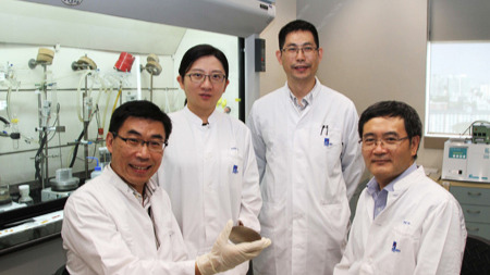 Singapore researchers develop anti-bacterial nano-coating inspired by dragonflies