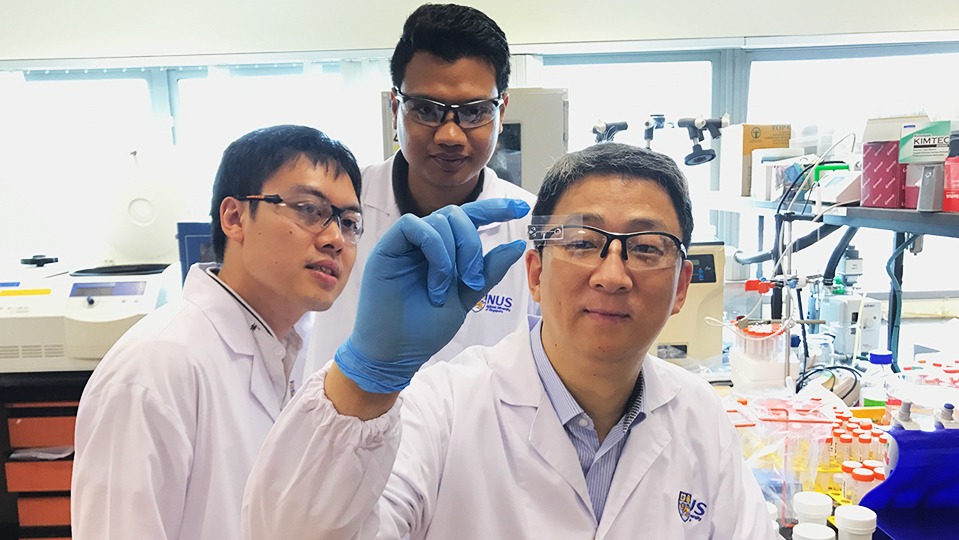 NUS develops novel chip for faster and cheaper disease detection
