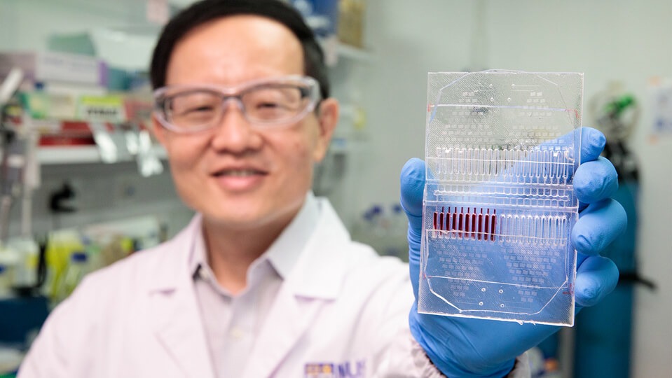 NUS scientists develop novel cancer cell culture test kit for personalised cancer therapy