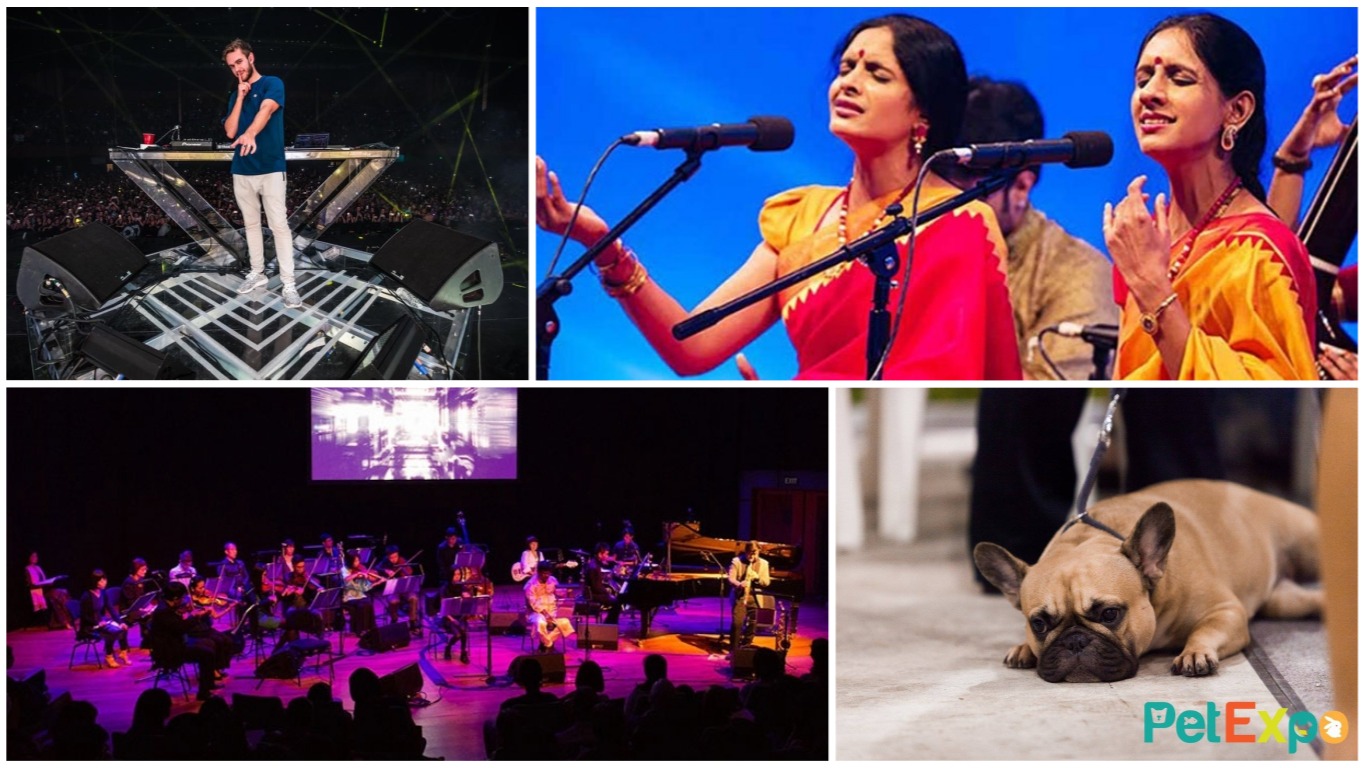 Five things to do over the weekend of Apr 7-8