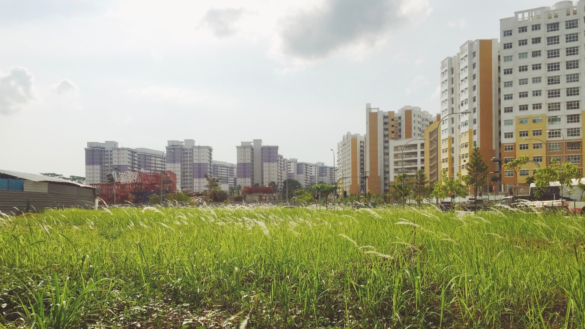 New HDB exercise allows young couples still studying or serving NS to apply