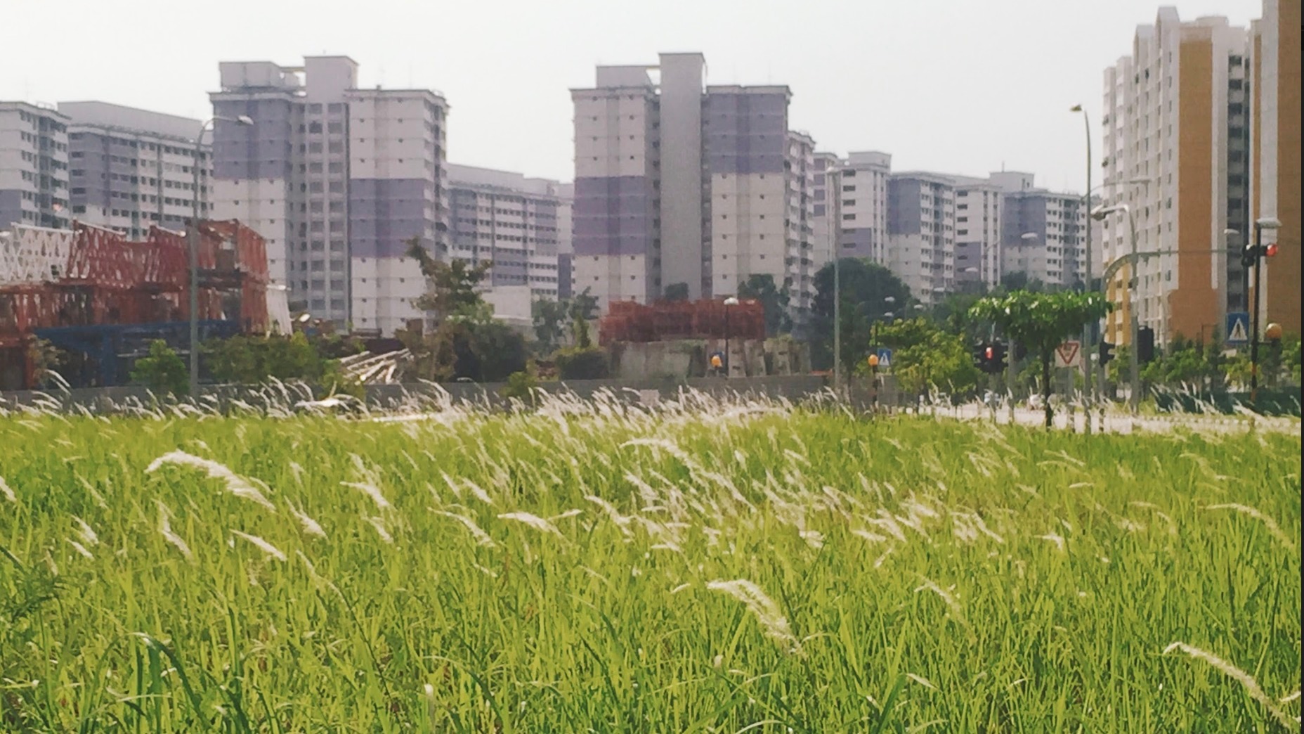 DBS launches property marketplace, offering listings from both agents and owners