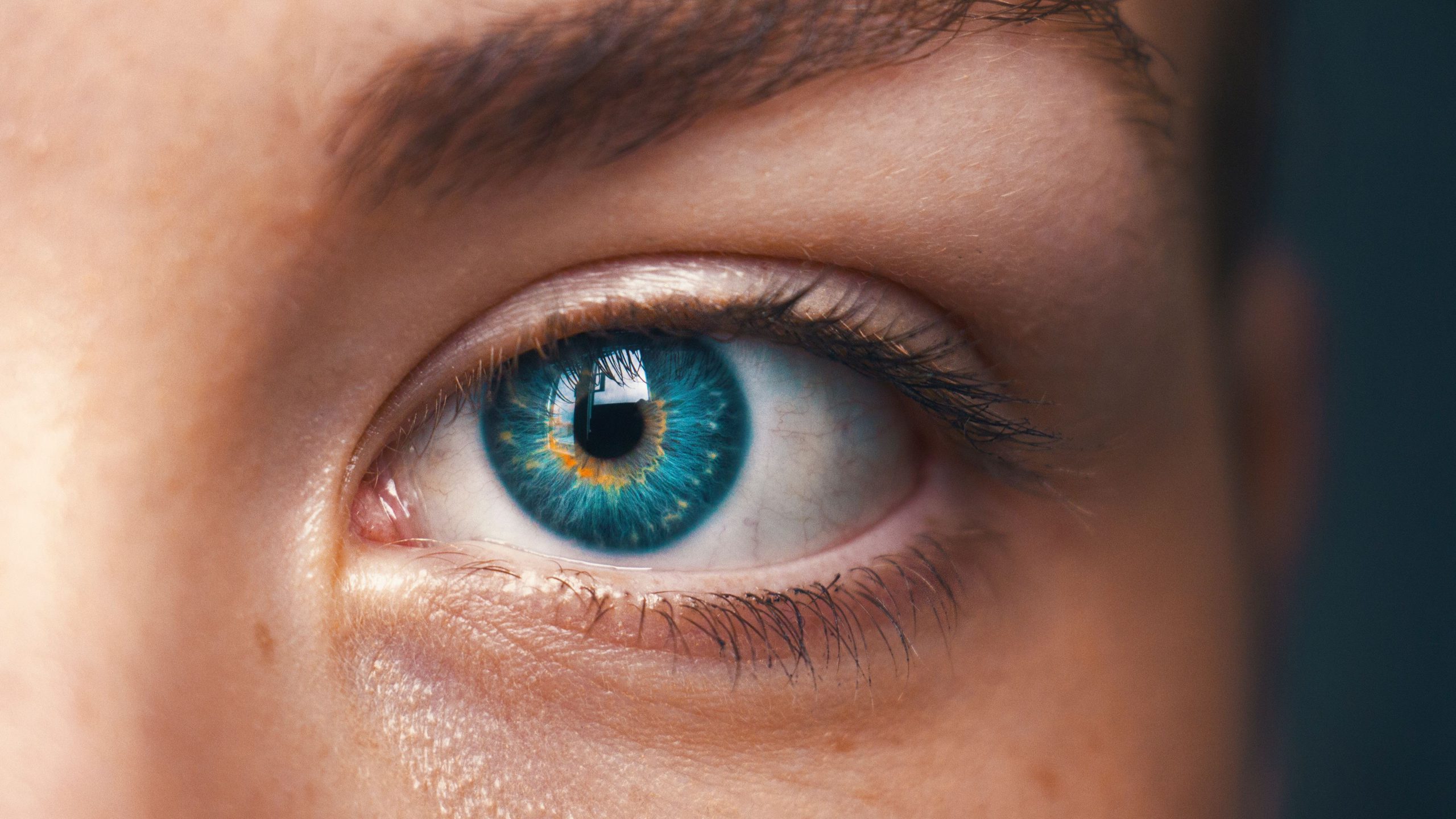Singapore commences iris-scanning at border checkpoints