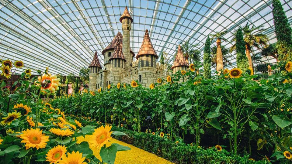 Alluring sunflowers on display at Gardens by the Bay until October 21