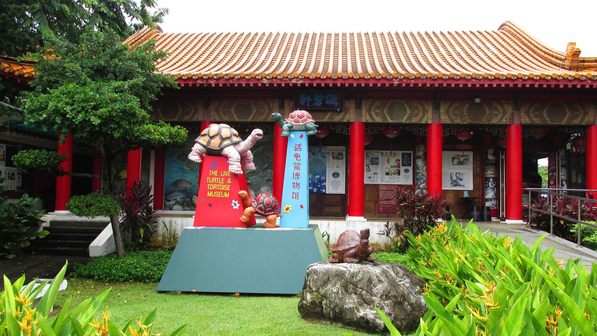 Singapore’s tortoise museum to be relocated to Yishun next year