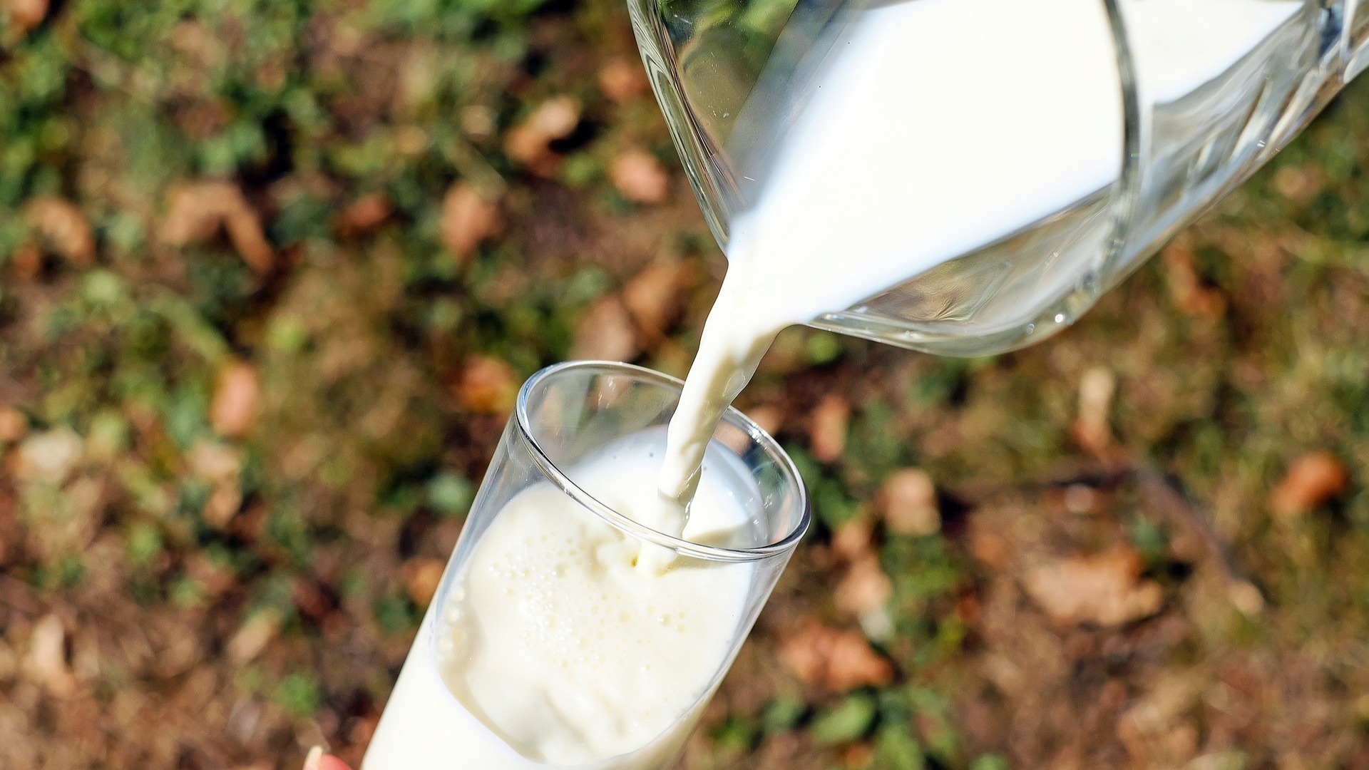 Indian company to send farm fresh milk to Singapore
