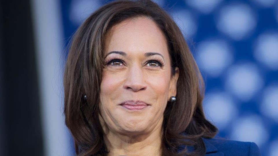 US Presidential candidate Kamala Harris raises over USD 23 million