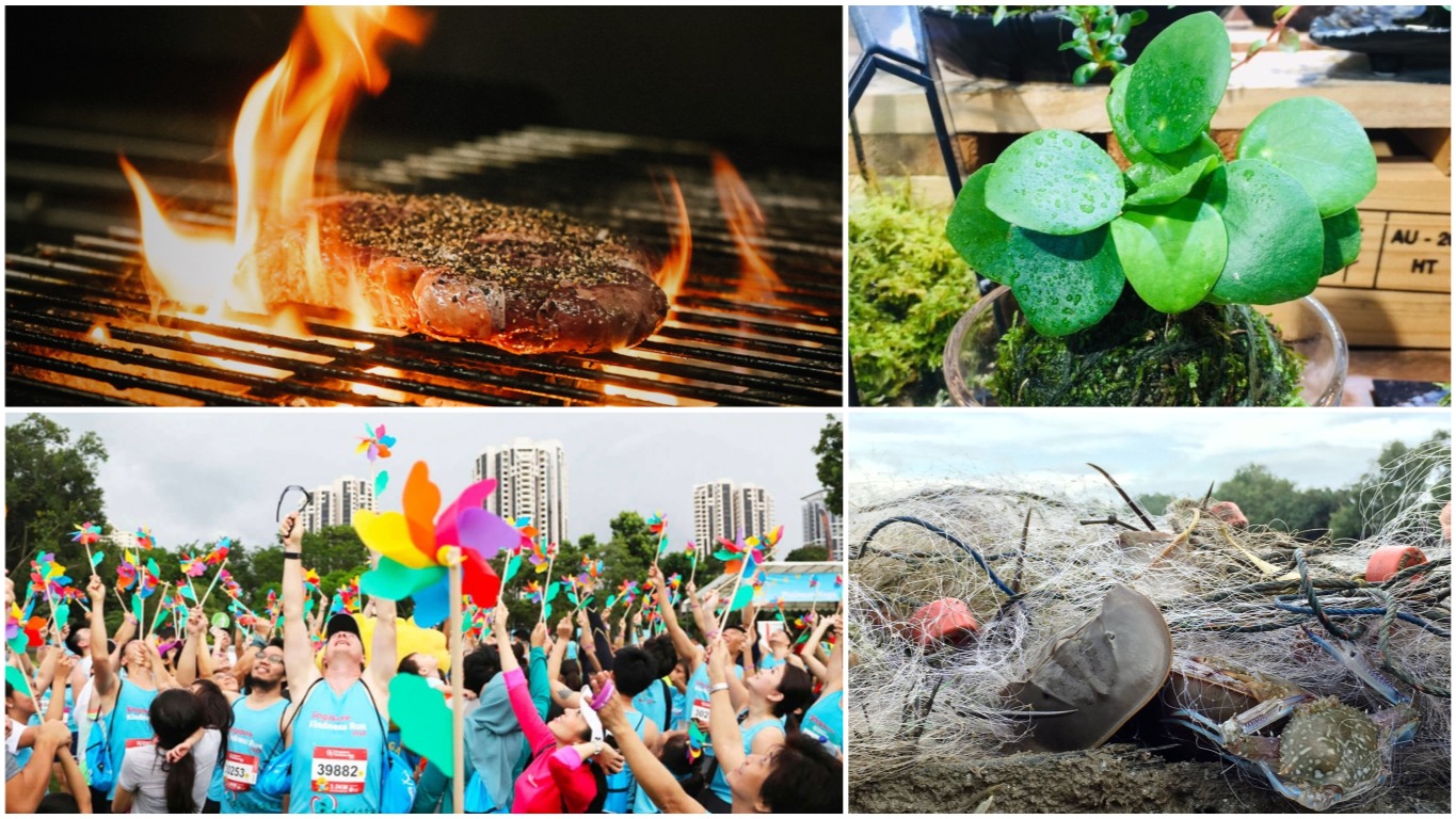 Five things to do in Singapore over the weekend of Aug 2-4