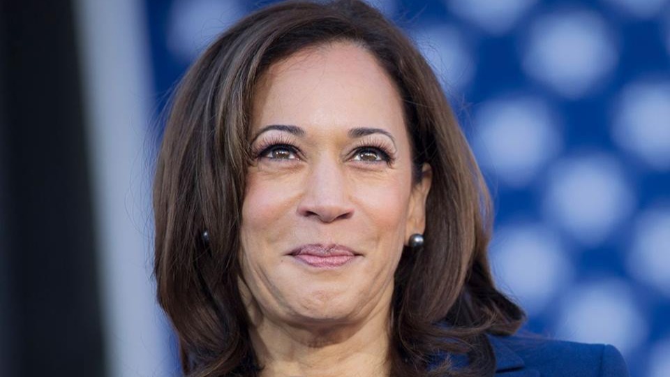 Kamala Harris wants to lift country cap on employment based Green Cards if elected