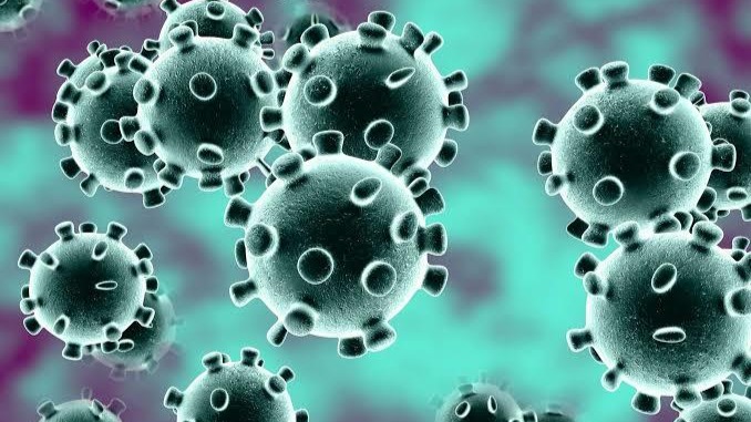 The Wuhan virus: Everything you need to know