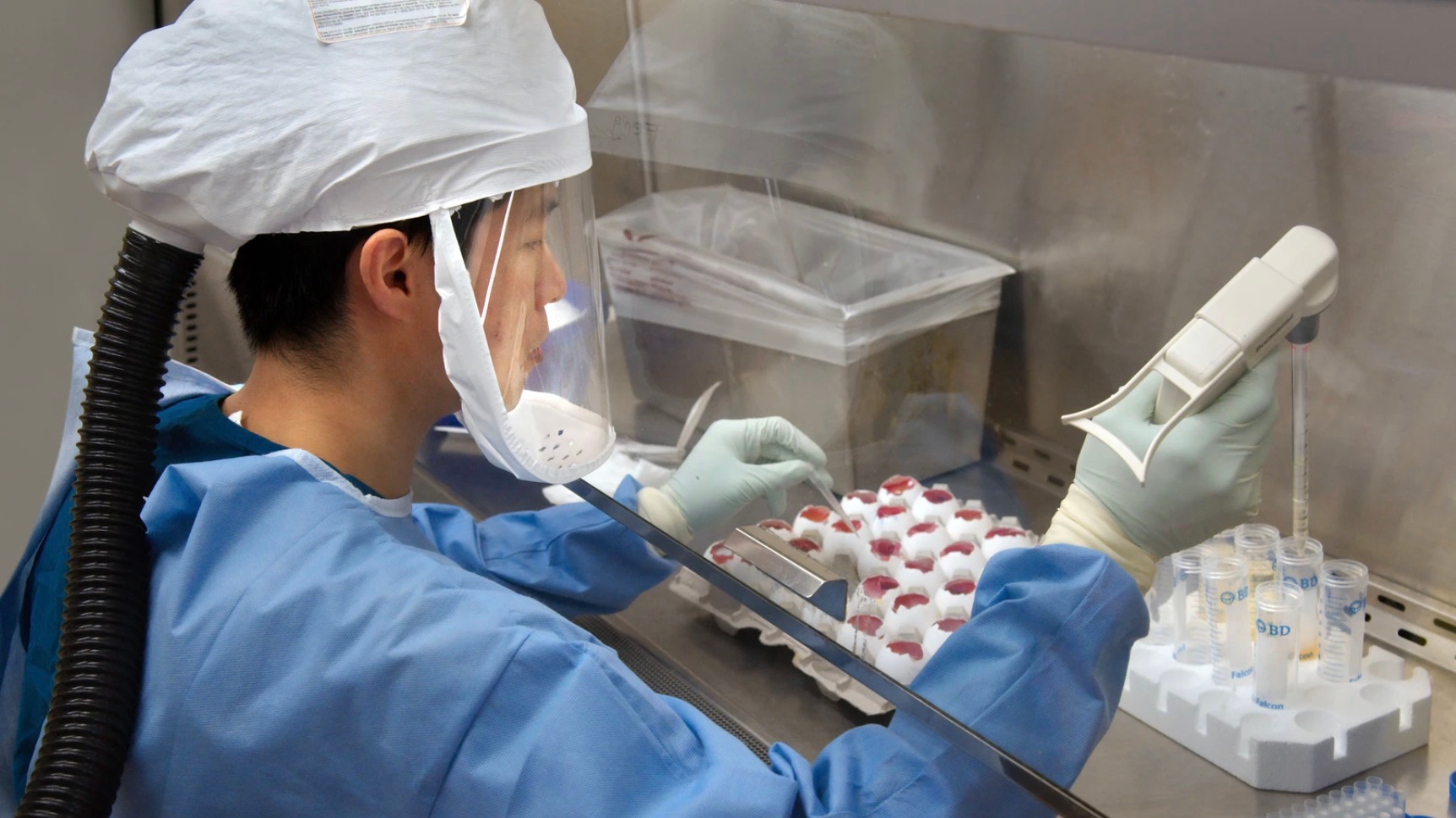 WHO names Wuhan virus COVID-19