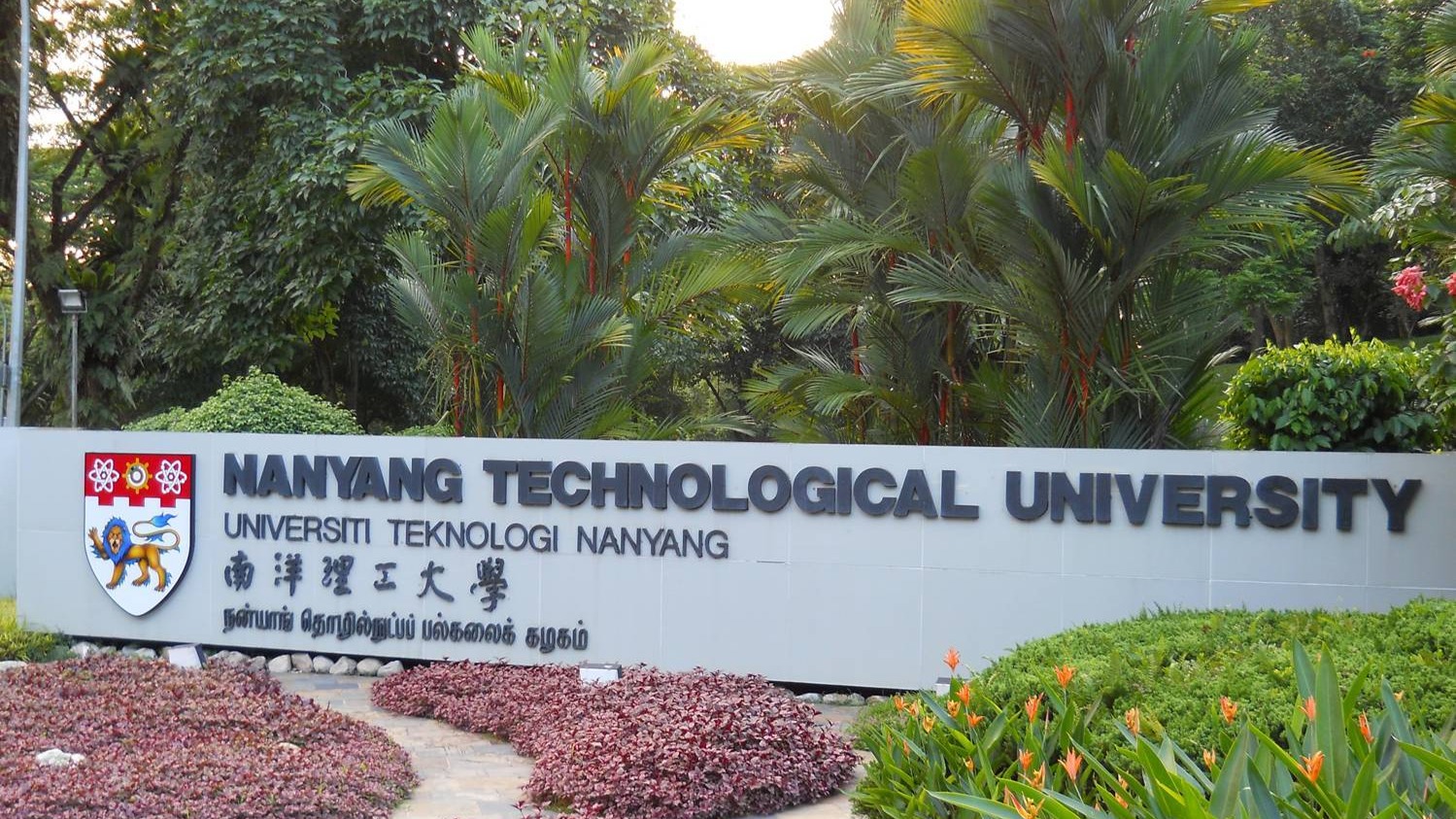 NTU launches initiatives to help students cope with COVID-19