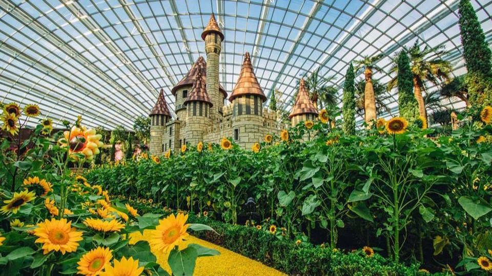 Madame Tussauds, Gardens By The Bay, and other attractions to open from July 1: STB