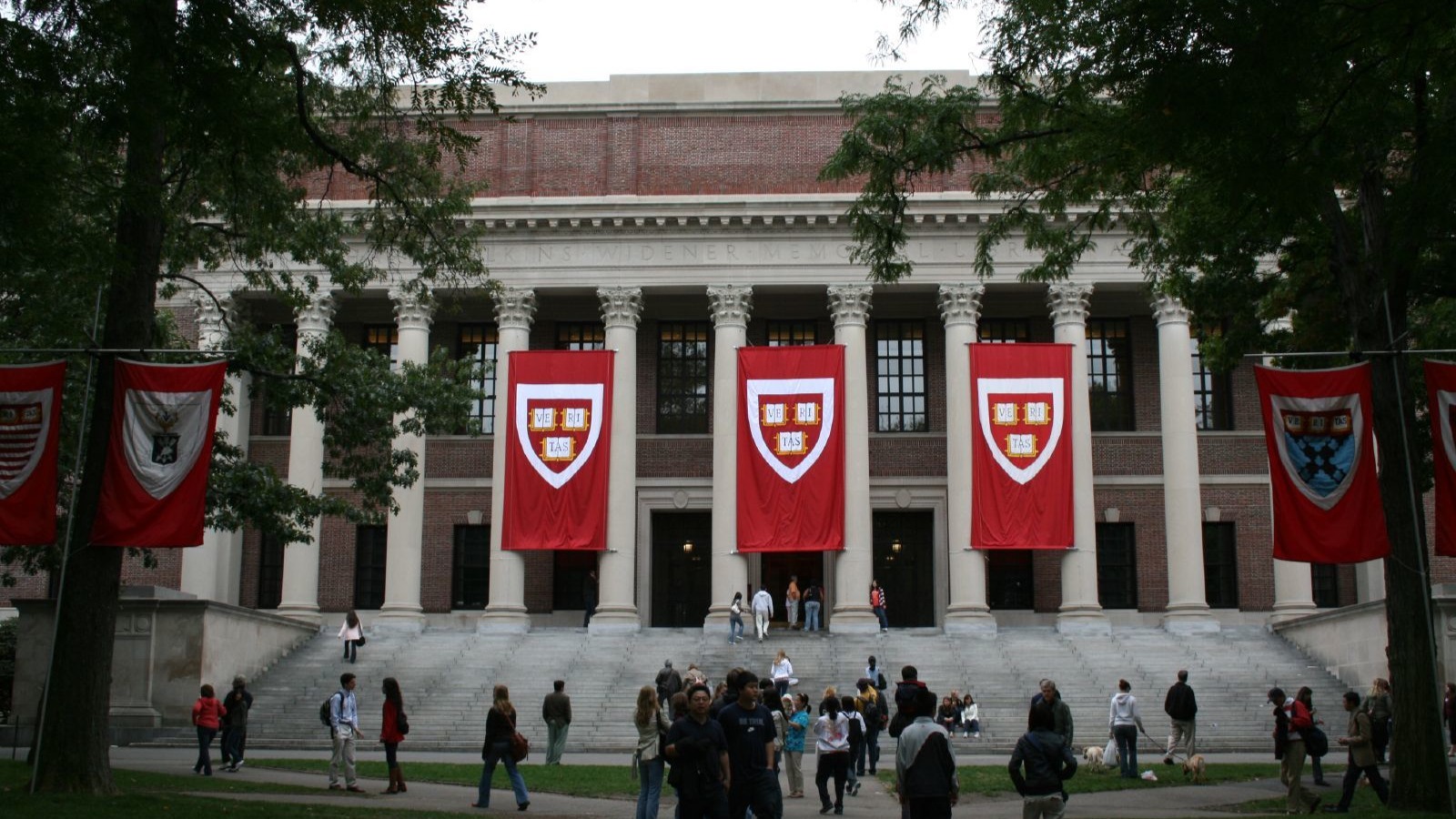 Harvard, MIT sue Trump administration as US lawmakers, educators speak out against student visa restrictions