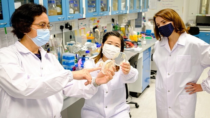 ​NTU researchers develop peptide that makes drug-resistant bacteria sensitive to antibiotics again