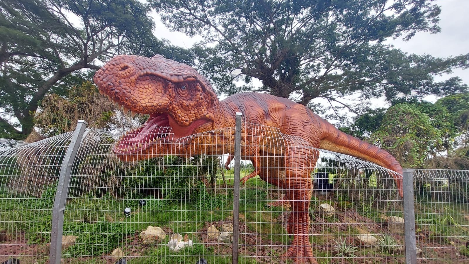 In Pics: Jurassic Mile at Changi Airport Connector