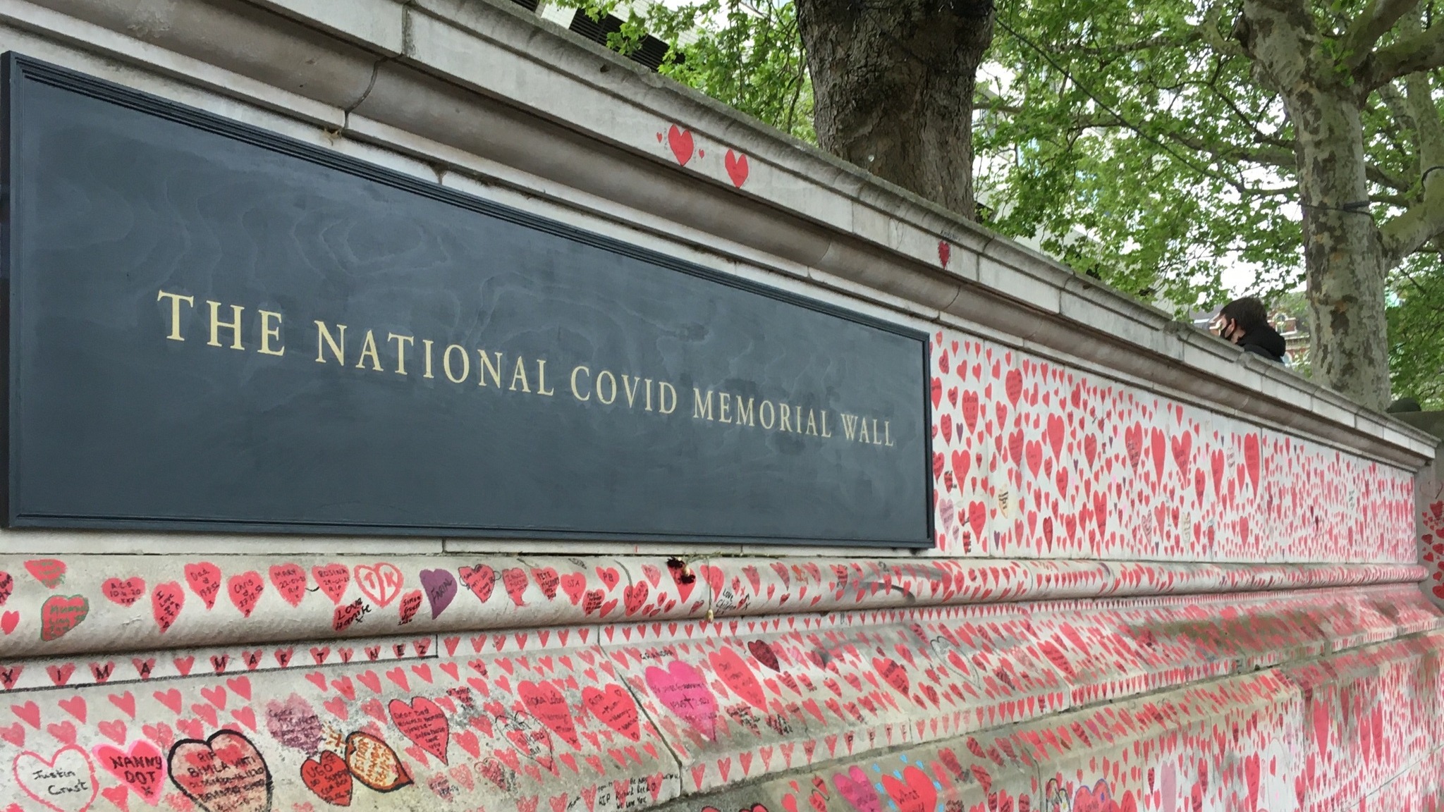 Global COVID tally breaches 186.7 mn, deaths over 4.02 mn