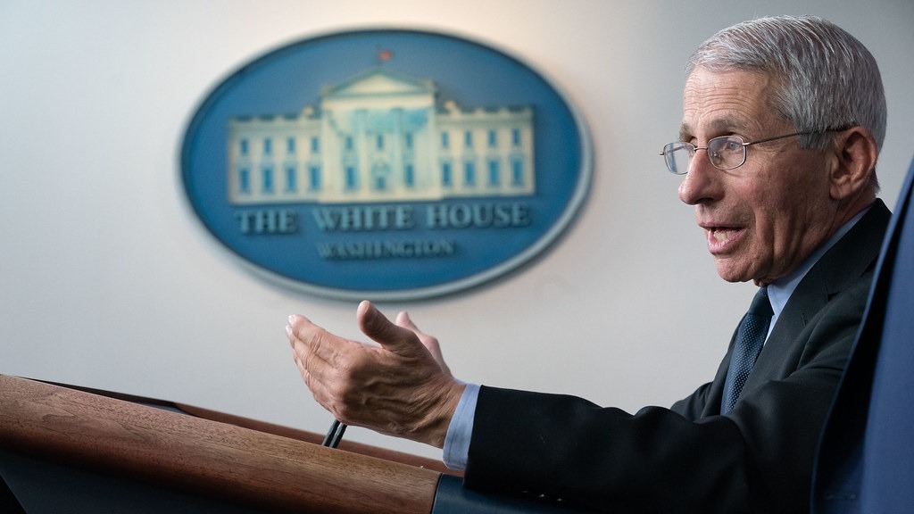 Delta variant has propelled COVID spike in US: Fauci