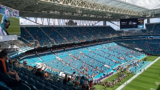Video of falling cat saved in US stadium goes viral